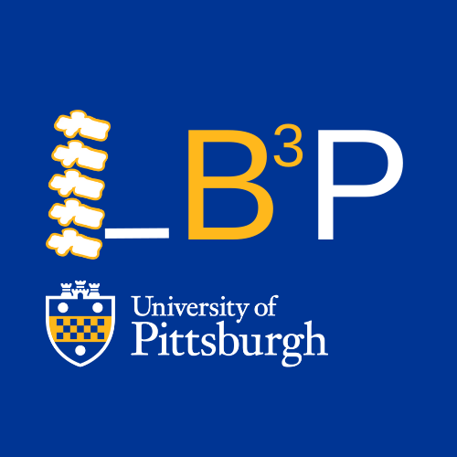 LB3P logo